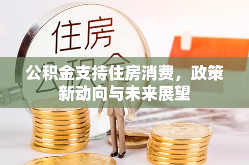 永胜公积金支持住房消费，政策新动向与未来展望