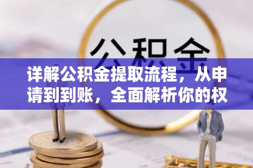 永胜详解公积金提取流程，从申请到到账，全面解析你的权益与操作步骤