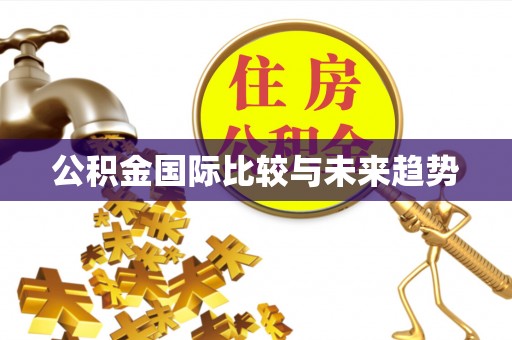 永胜公积金国际比较与未来趋势