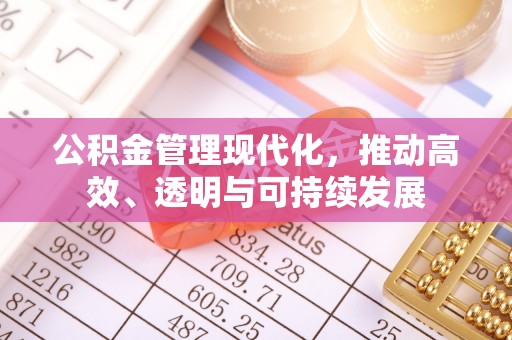 永胜公积金管理现代化，推动高效、透明与可持续发展
