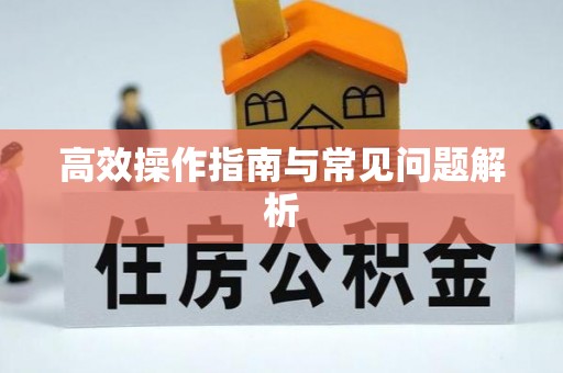永胜高效操作指南与常见问题解析
