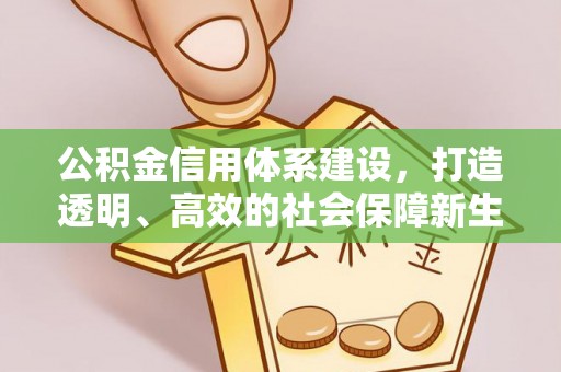 永胜公积金信用体系建设，打造透明、高效的社会保障新生态