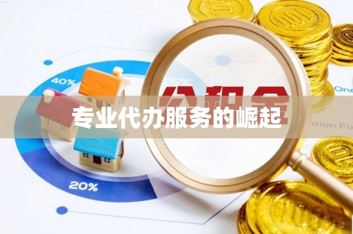 永胜专业代办服务的崛起