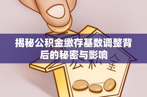 永胜揭秘公积金缴存基数调整背后的秘密与影响