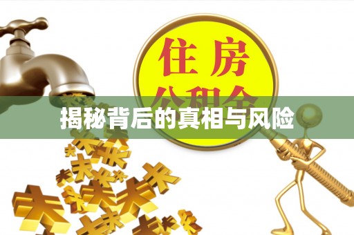 永胜揭秘背后的真相与风险