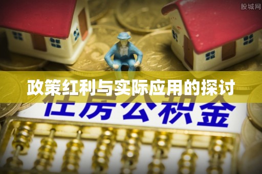 永胜政策红利与实际应用的探讨