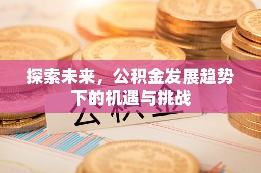 永胜探索未来，公积金发展趋势下的机遇与挑战