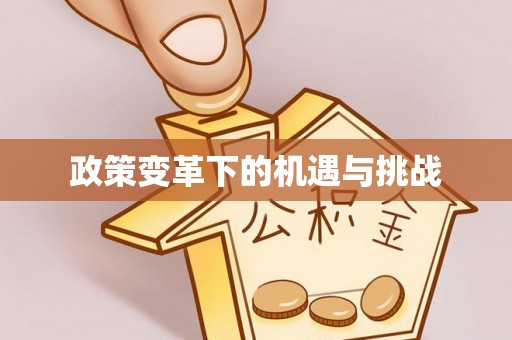 永胜政策变革下的机遇与挑战