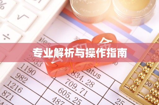 永胜专业解析与操作指南