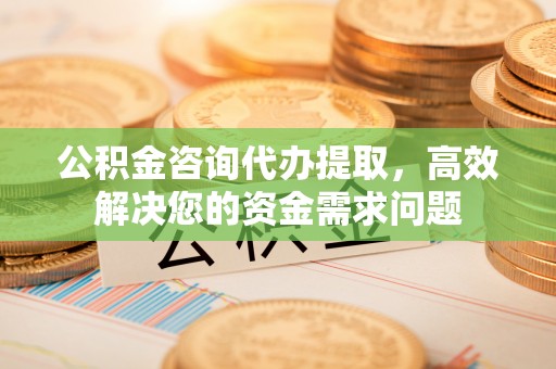 永胜公积金咨询代办提取，高效解决您的资金需求问题