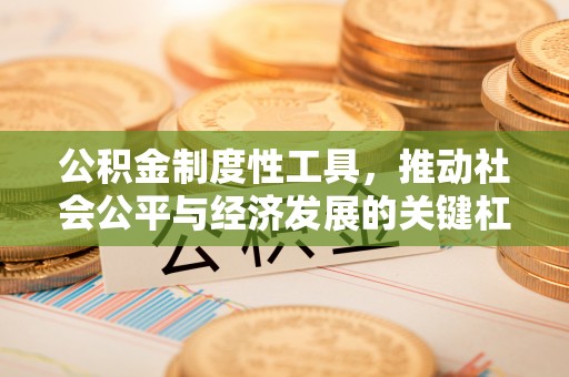 永胜公积金制度性工具，推动社会公平与经济发展的关键杠杆