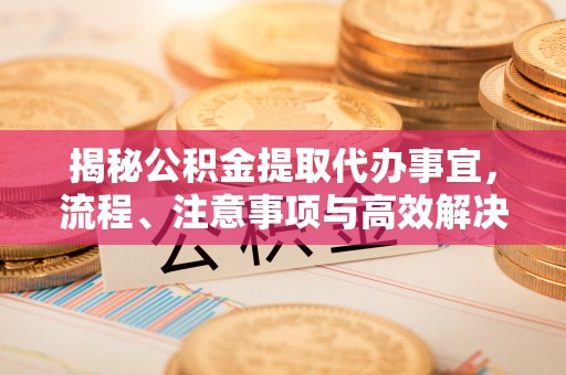 永胜揭秘公积金提取代办事宜，流程、注意事项与高效解决方案