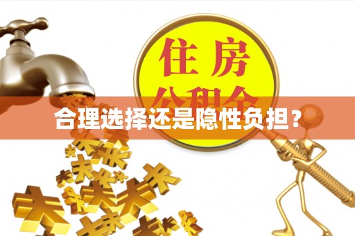 永胜合理选择还是隐性负担？