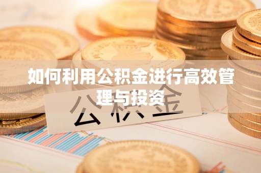 永胜如何利用公积金进行高效管理与投资