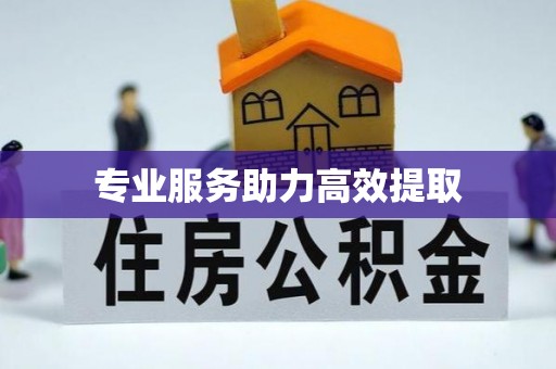 永胜专业服务助力高效提取