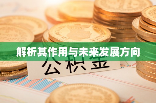 永胜解析其作用与未来发展方向