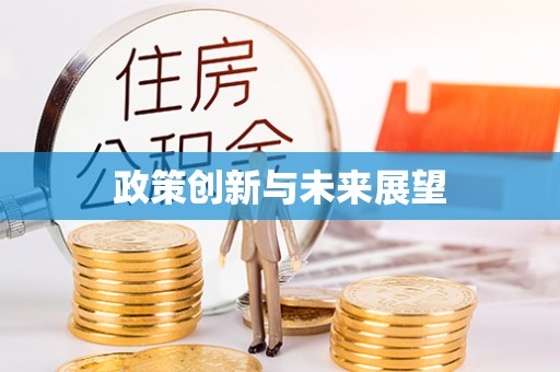 永胜政策创新与未来展望