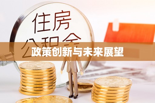 永胜政策创新与未来展望